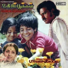 Kalyaanam Paaru