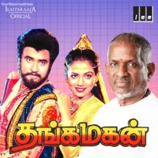 Machaana Paaradi