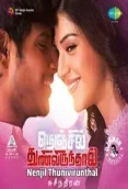 Nenjil Thunivirundhal (2017)