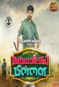Namma Veettu Pillai (2019)