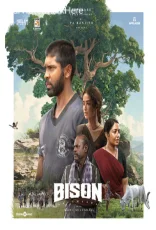 Bison