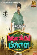 Namma Veettu Pillai