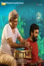 Kaari
